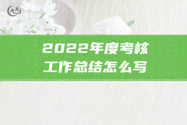 2022年度考核工作总结怎么写