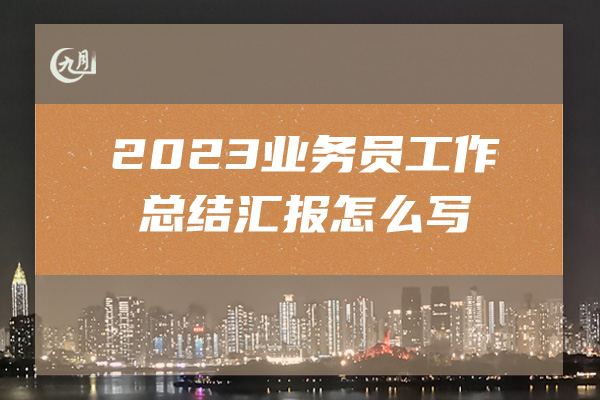 2023业务员工作总结汇报怎么写