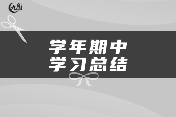 学年期中学习总结