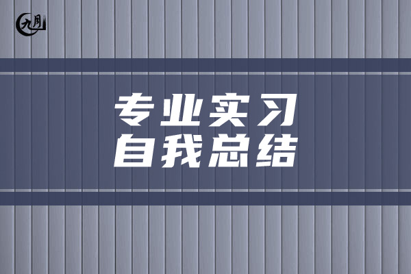 专业实习自我总结