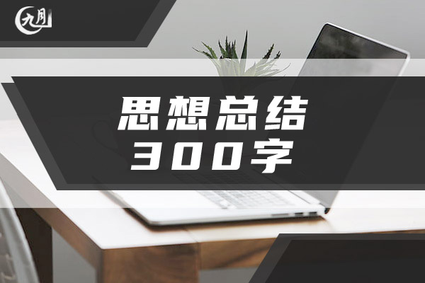 思想总结300字