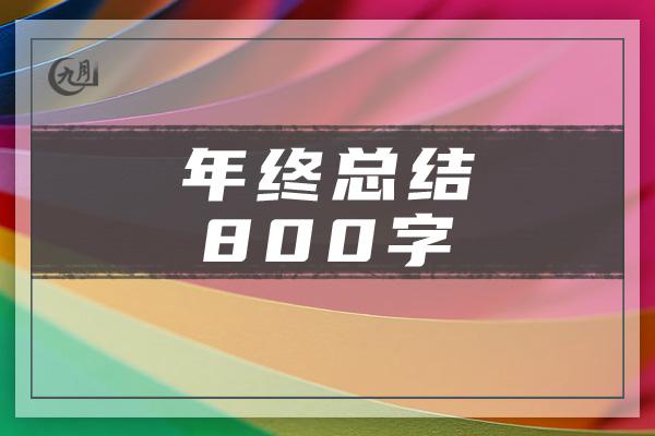 年终总结800字