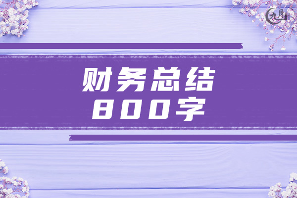 财务总结800字