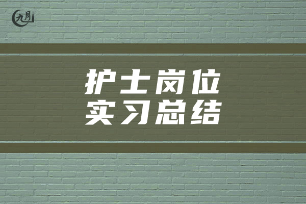 护士岗位实习总结