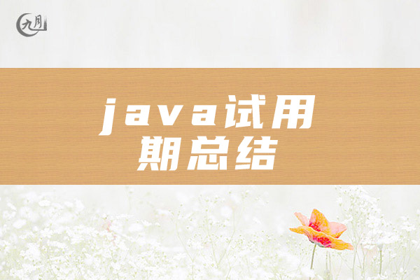 java试用期总结