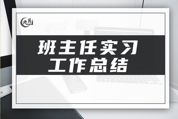 班主任实习工作总结