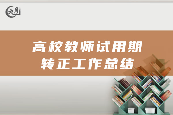 高校教师试用期转正工作总结