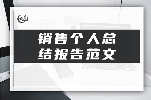 销售个人总结报告范文