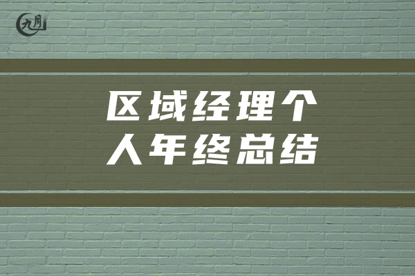 区域经理个人年终总结