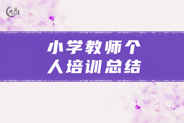 小学教师个人培训总结