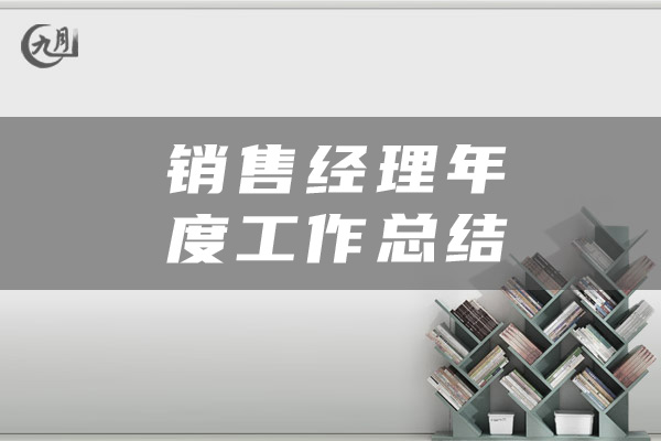 销售经理年度工作总结