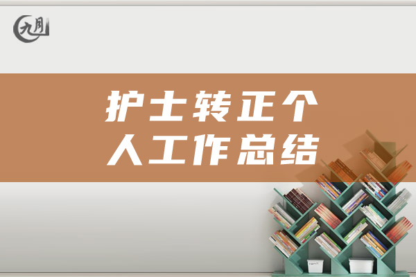 护士转正个人工作总结