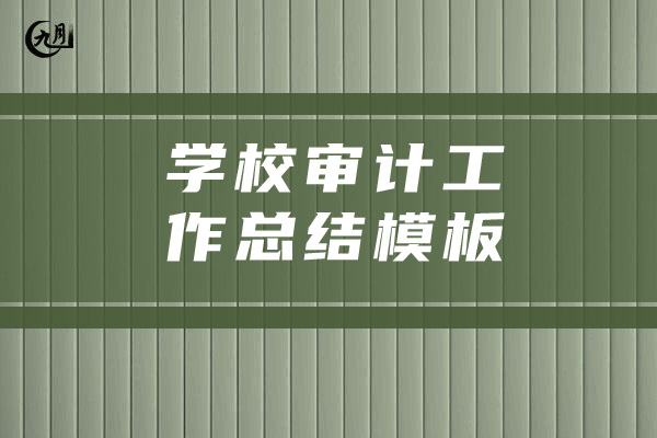 学校审计工作总结模板