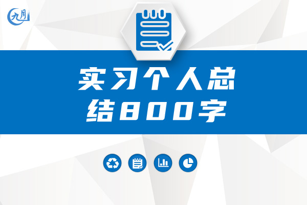 实习个人总结800字