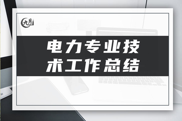 电力专业技术工作总结