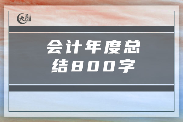 会计年度总结800字