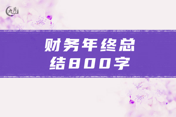 财务年终总结800字