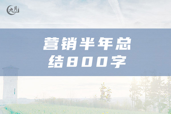 营销半年总结800字