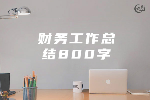 财务工作总结800字