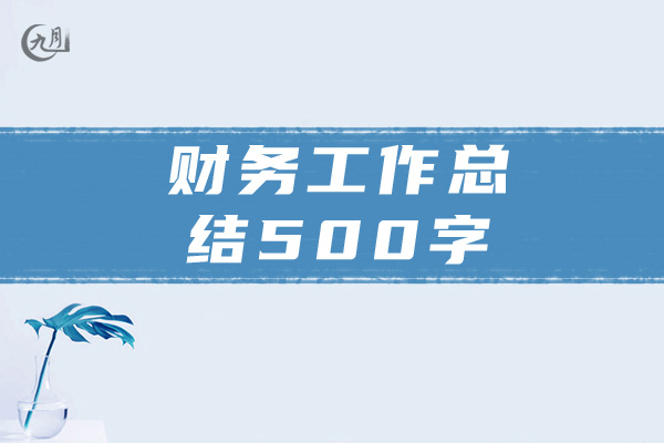 财务工作总结感慨500字