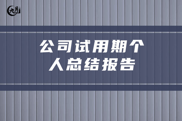 公司试用期个人总结报告