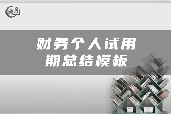 财务个人试用期总结模板