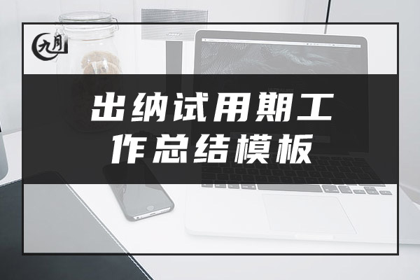 出纳试用期工作总结模板