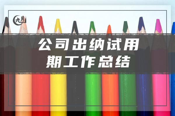 公司出纳试用期工作总结