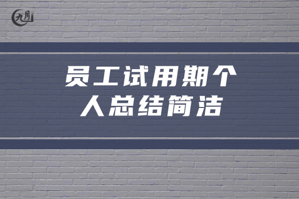 员工试用期个人总结简洁