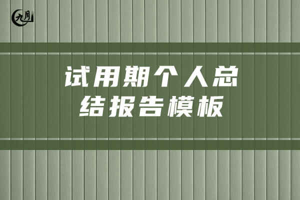 试用期个人总结报告模板