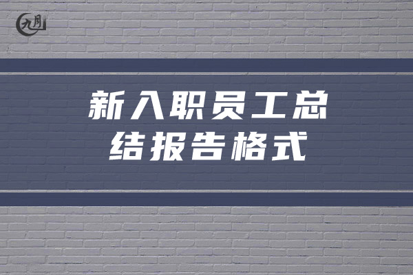 新入职员工总结报告格式