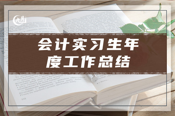 会计实习生年度工作总结