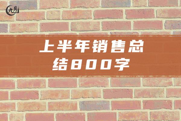 上半年销售总结800字