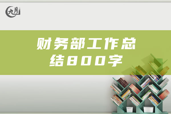 财务部工作总结800字