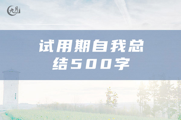 试用期自我总结500字