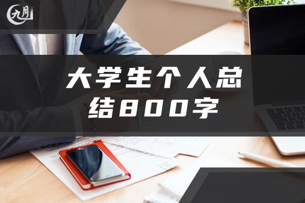 大学生个人总结800字