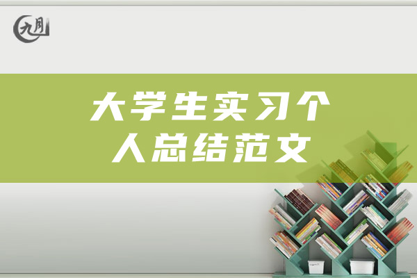 大学生实习个人总结范文