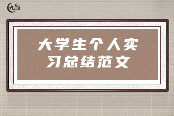 大学生个人实习总结范文