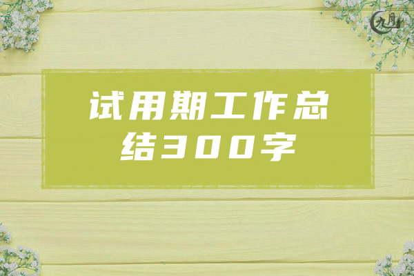 试用期工作总结300字