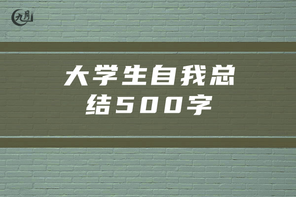 大学生自我总结500字