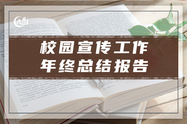 校园宣传工作年终总结报告