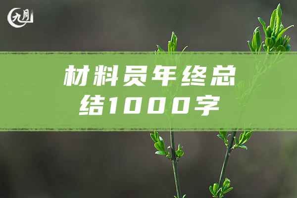 材料员年终总结1000字