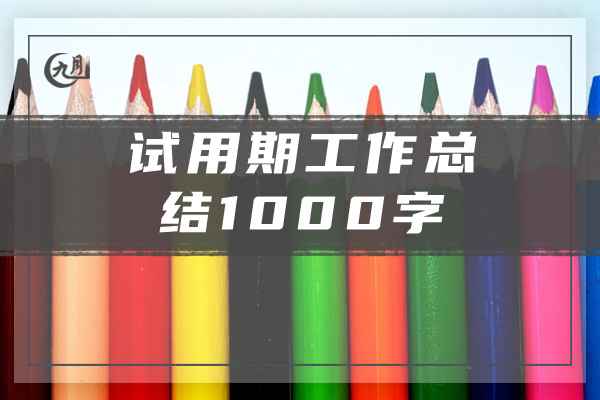 试用期工作总结1000字