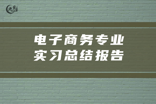 电子商务专业实习总结报告