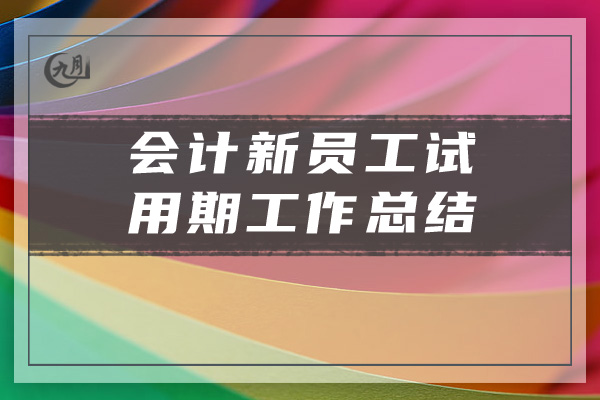 会计新员工试用期工作总结