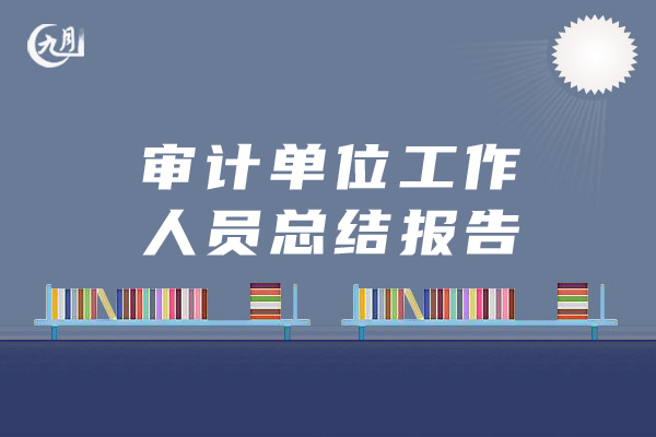 审计单位工作人员总结报告