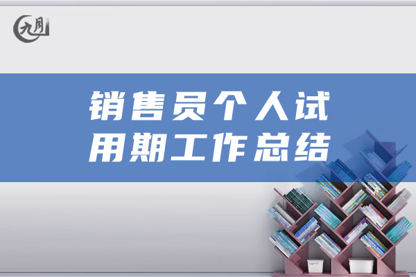 销售员个人试用期工作总结