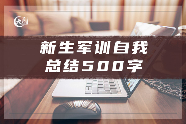 新生军训自我总结500字