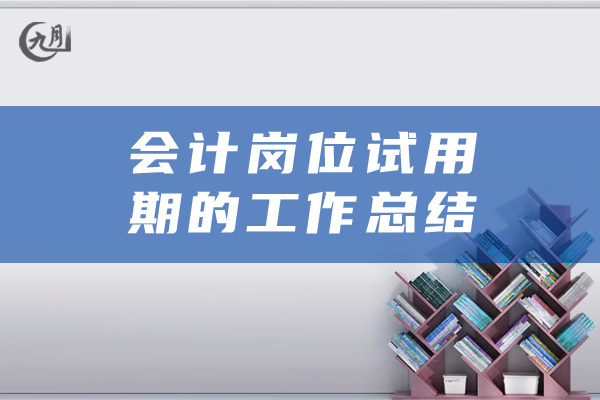 会计岗位试用期的工作总结