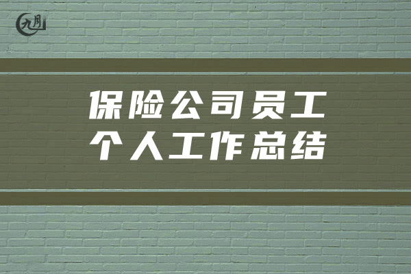 保险公司员工个人工作总结